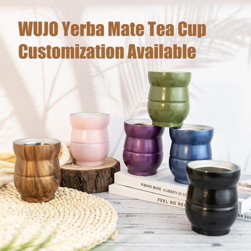 WUJO Double Wall Stainless Steel Insulted Yerba Mate Gourd Cup With Straw
